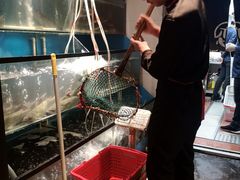 -老板恋上鱼(印象城店)