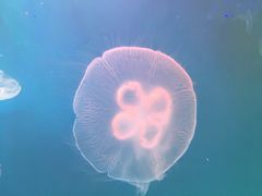 -华夏文旅西安度假区