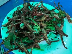 -超越海鲜屋(飞龙物业店)