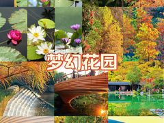 -云溪植物园
