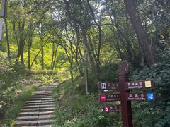 -大连植物园