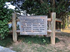 -福建鲤鱼洲酒店