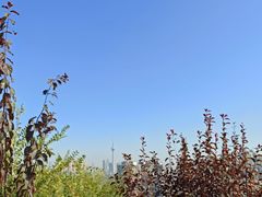 -南翠屏公园