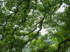 -楠溪江风景名胜区