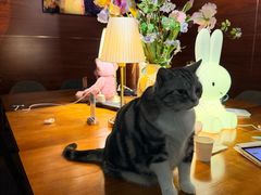 -咖法森林·咖啡  酒吧(天河店)