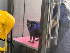 -宠福鑫康馨动物医院·骨科·眼科