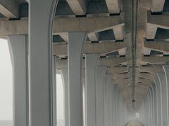 -福田红树林生态公园