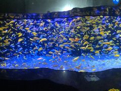 -成都浩海立方海洋公园