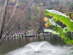 -重庆彩云湖湿地公园