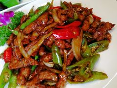 -海岛渔村大酒店(云霄路店)