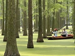 -渌洋湖湿地公园