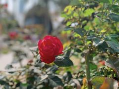 -人民公园(罗湖区)