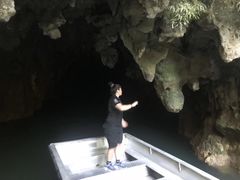 -怀托摩萤火虫洞