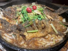 -老板恋上鱼(恒隆广场店)