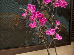-金链花·泰国餐厅(国贸店)