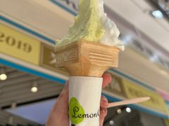 -柠檬车露(卖草地店)