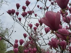 -艾溪湖湿地公园