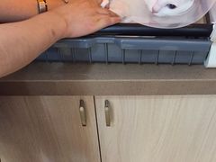 -芭比堂动物医院·犬猫全科·异宠专科(雁塔分院)