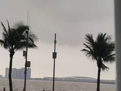 -港珠澳大桥(珠海段)