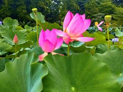 -国家植物园南园