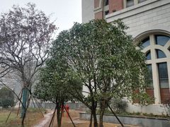 -长沙市青少年宫