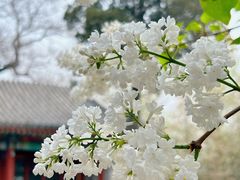 -北海公园