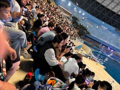 -泉城欧乐堡海洋极地世界