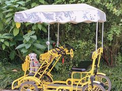 -桤木河湿地公园