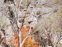 -黑龙潭风景区