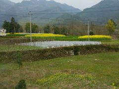 -楠溪江风景名胜区