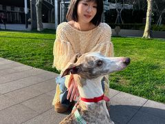 -安福路