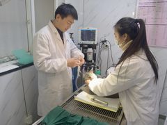 -宝山区动物疫病预防控制中心(永乐汇生活广场店)