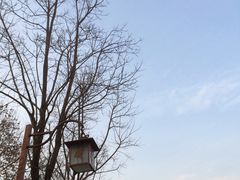 -黄鹤楼