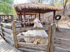 -北京鹿世界主题园