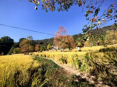-塔川景区