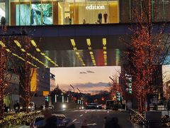 -北京柏悦酒店·锦庭餐厅Dining Room