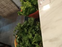 -潮鑫牛肉火锅(敏捷广场店)