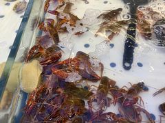 -川骄海鲜自助(河东店)