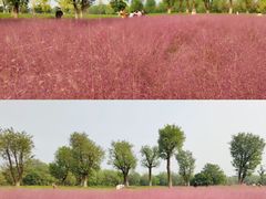 -汉长安城未央宫国家考古遗址公园