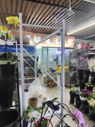 -社慕颜·禾沐造型