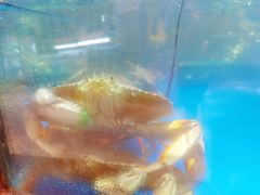 -盒马鲜生(悦峰店)