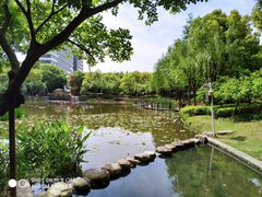 -陈家山荷花公园