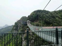 -梦幻奥陶纪景区