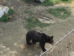 -石家庄市动物园