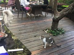 -马勒别墅·中餐厅