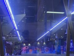 -大鲁阁保龄球(苏州园区店)