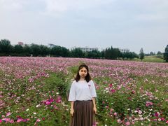 -南京医科大学(江宁校区)