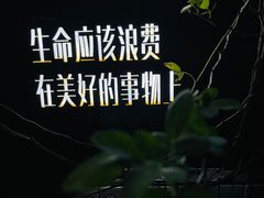 -城墙外BAR