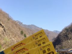 -牛背梁国家森林公园
