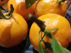 -火炉旺烤肉啤酒屋(沈北创始店)